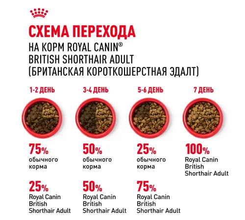 Royal Canin British Shorthair Adult, 400 г