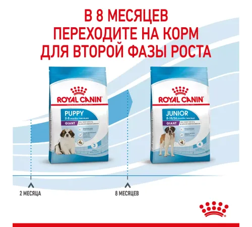 Royal Canin Giant Puppy, 3,5 кг