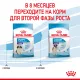 Royal Canin Giant Puppy, 3,5 кг