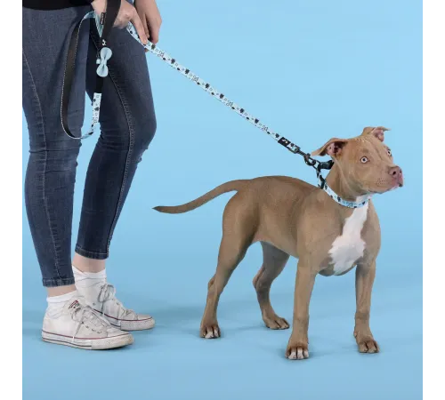 United Pets Поводок Complete me Writing, голубой с рисунком, 16 мм, 140 см
