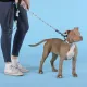 United Pets Поводок Complete me Writing, голубой с рисунком, 16 мм, 140 см