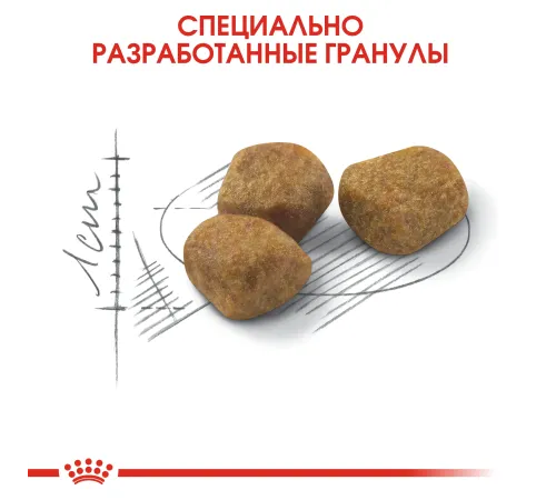 Royal Canin Indoor 7+, 400 г