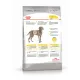 Royal Canin Maxi Dermacomfort, 10 кг