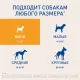 Фронтлайн Нексгард 11,3 мг/2-4 кг, 1 таб