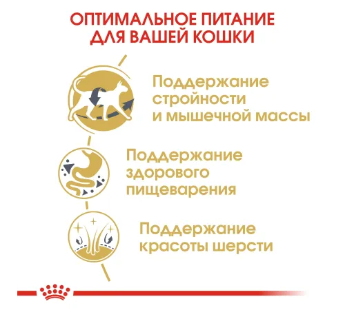 Royal Canin Siamese Adult 400 г срок до 06.05.2026 г