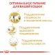Royal Canin Siamese Adult 400 г срок до 06.05.2026 г