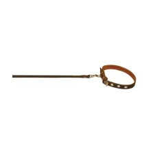 Collar Ошейник с поводком капрон Brown ш 14 мм, д 120 см