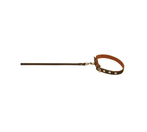 Collar Ошейник с поводком капрон Brown ш 14 мм, д 120 см