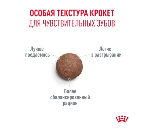 Royal Canin Ageing 11+, 400 гр