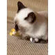 Мышки из натурального кокона шелкопряда, 2 шт/уп