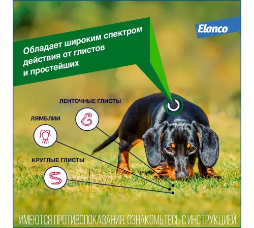 Elanco Дронтал Плюс XL, 1 таб