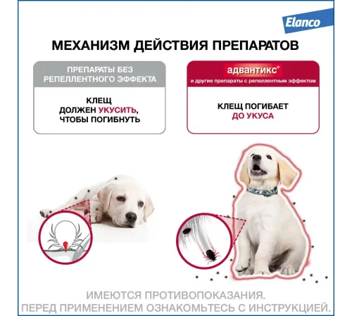 Elanco Адвантикс для собак до 4 кг, 1 пипетка