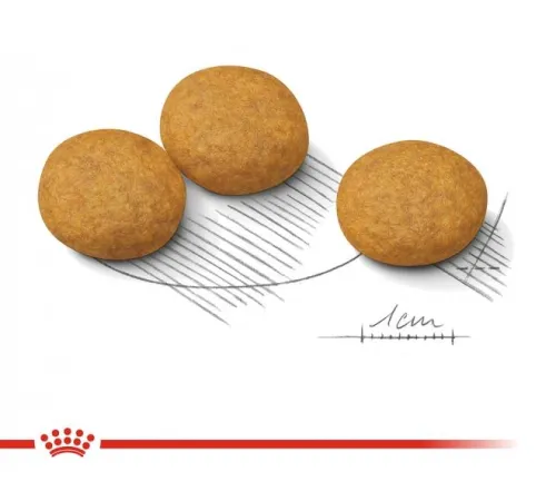 Royal Canin Medium Dermacomfort, 3 кг