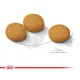 Royal Canin Medium Dermacomfort, 3 кг