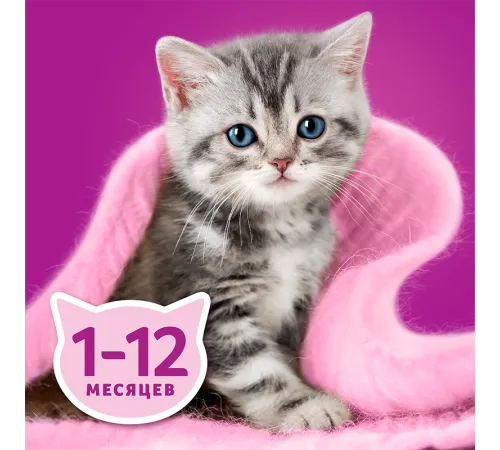 Whiskas для котят паштет с курицей, 75 г х 24 шт (уп)