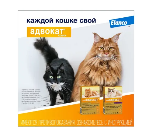 Elanco Адвокат для кошек более 4 кг, 1 пипетка