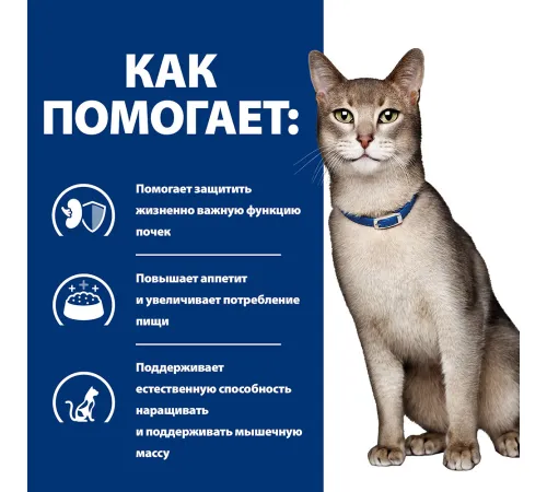 Hill's Prescription Diet k/d Kidney Care для кошек с лососем, 85 г