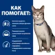 Hill's Prescription Diet k/d Kidney Care для кошек с лососем, 85 г