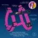 Joyser Шлея Base Step-in Harness, розовая, S