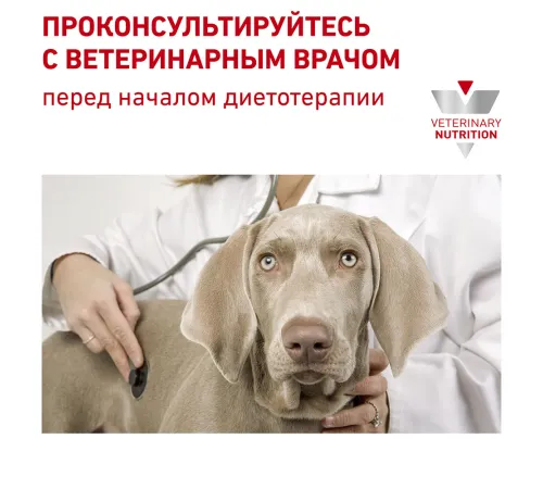 Royal Canin Cardiac Dog, 2 кг