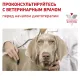 Royal Canin Cardiac Dog, 2 кг