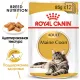 Royal Canin Maine Coon Adult (соус), 85 гр