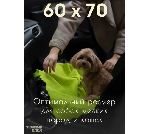 Уютный плед Плед флисовый, Лаймовый Зеленый, 60х70 см