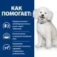 Hill's Prescription Diet k/d Early Stage для собак, 1,5 кг