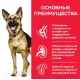 Hill's Science Plan для пожилых собак крупных пород для поддержания здоровой мышечной массы и свободы движений (курица), 14 кг