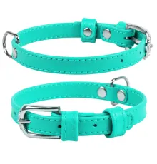 Collar Ошейник 