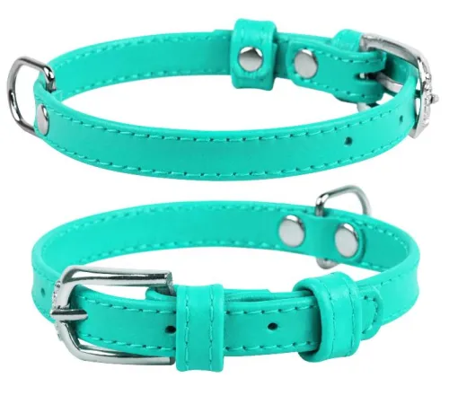 Collar Ошейник 