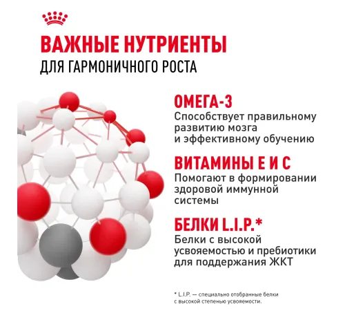 Royal Canin Puppy Medium, 3 кг
