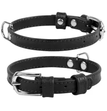 Collar Ошейник 