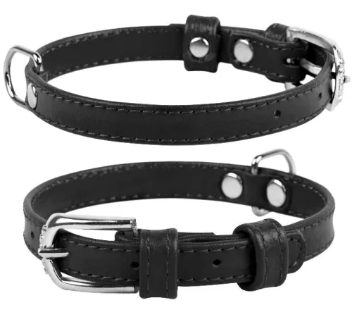 Collar Ошейник 