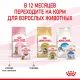 Royal Canin Kitten Sterilised (соус) 85 гр