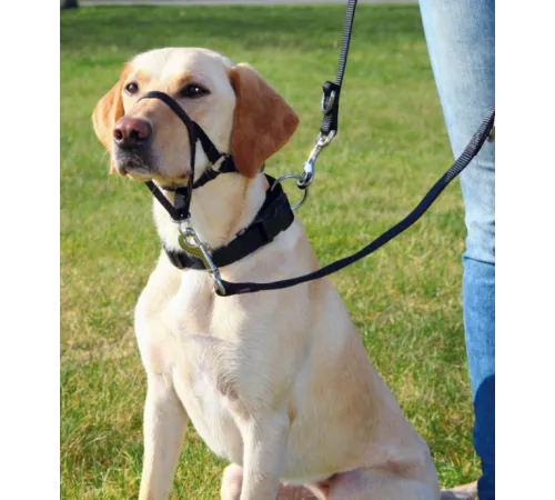 Trixie Шлея Top Trainer Training Harness, L-XL
