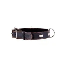 Collar одинарный с украшением MBlack 25 мм, 41-50 см