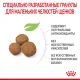 Royal Canin Giant Puppy, 3,5 кг