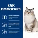 Hill's Prescription Diet j/d Joint Care для кошек (Курица), 1,5 кг