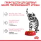 Royal Canin Kitten Sterilised (соус) 85 гр
