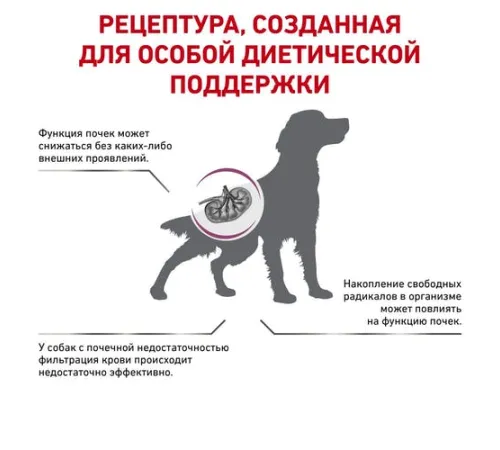Royal Canin Early Renal Dog 2 кг