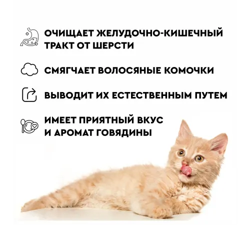 Secret Паста для вывода шерсти со вкусом печени, 75 мл