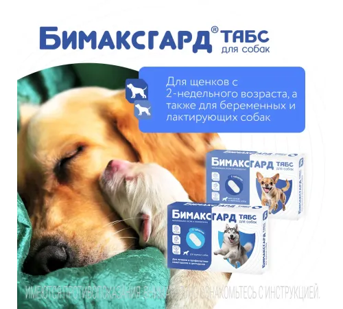 Бимаксгард ТАБС для щенков и маленьких собак, 1 таб