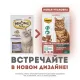 Мнямс Хрустящие подушечки 