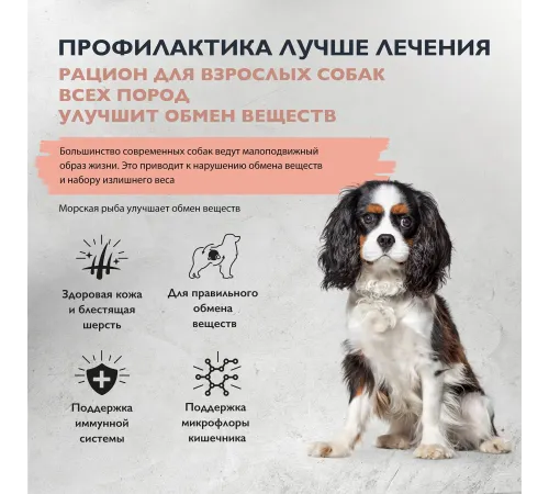 Брит Кеа Dog Adult Sensitive Metabolic (Рыба, Индейка), 3 кг