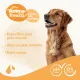 Beaphar Shampoo Brown Coat Dog, 250 мл