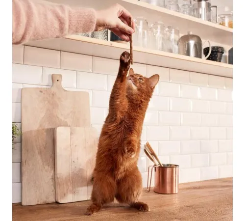 GimCat Палочки с ягненком и птицей, 4 шт/уп.