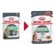 Royal Canin Digestive Care (соус), 85 гр.