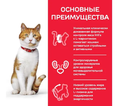 Hill's Science Plan Влажный корм для молодых стерилизованных кошек и кастрированных котов (форель) 85 г