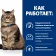 Hill's Prescription Diet Gastrointestinal Biome для кошек, c курицей 1,5 кг